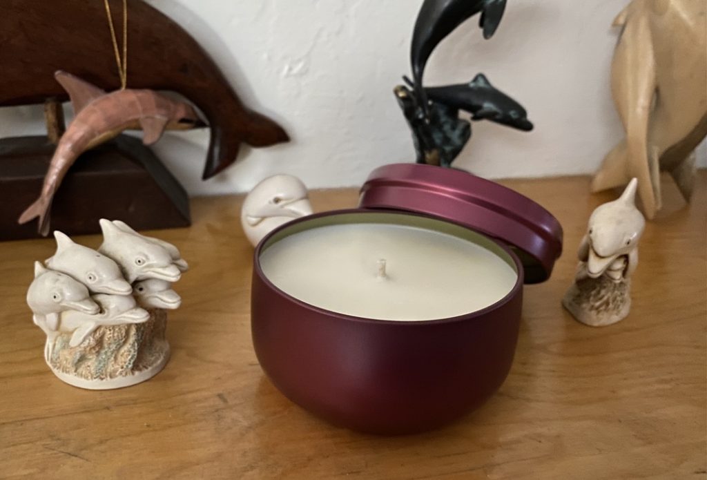 Organic Soy candles